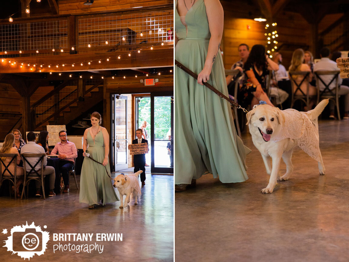 maid-of-honor-walking-flower-dog-with-lace-outfit-pet-at-wedding-ceremony.jpg