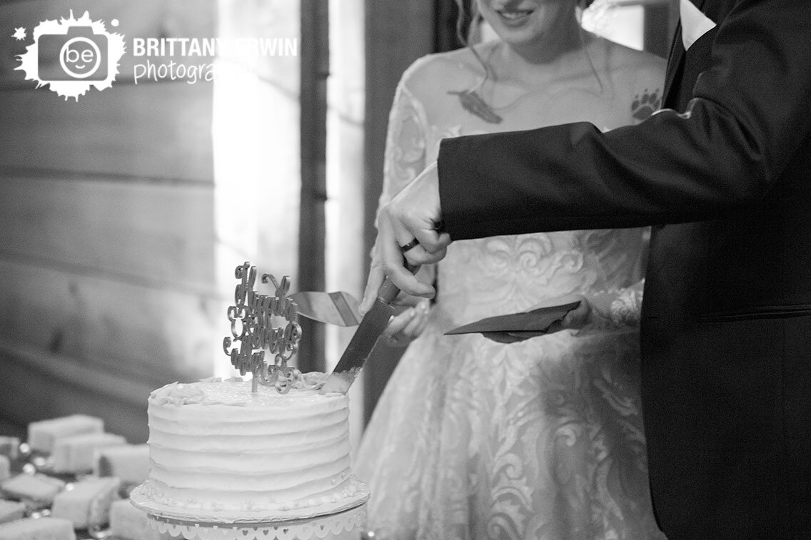 Indiana-wedding-reception-photographer-cake-cutting.jpg