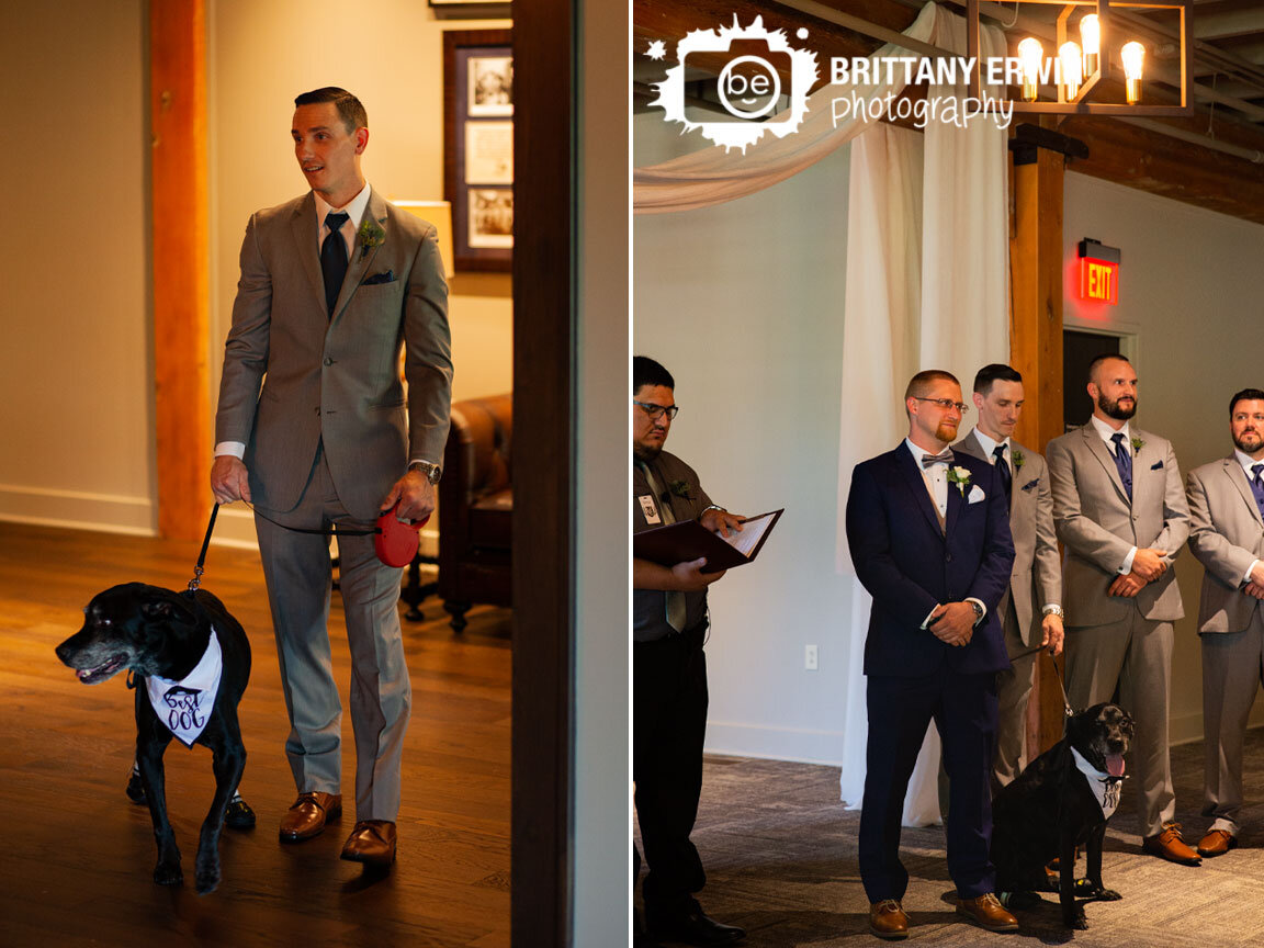 Franklin-Indiana-wedding-photographer-best-dog-walking-down-aisle-with-best-man.jpg