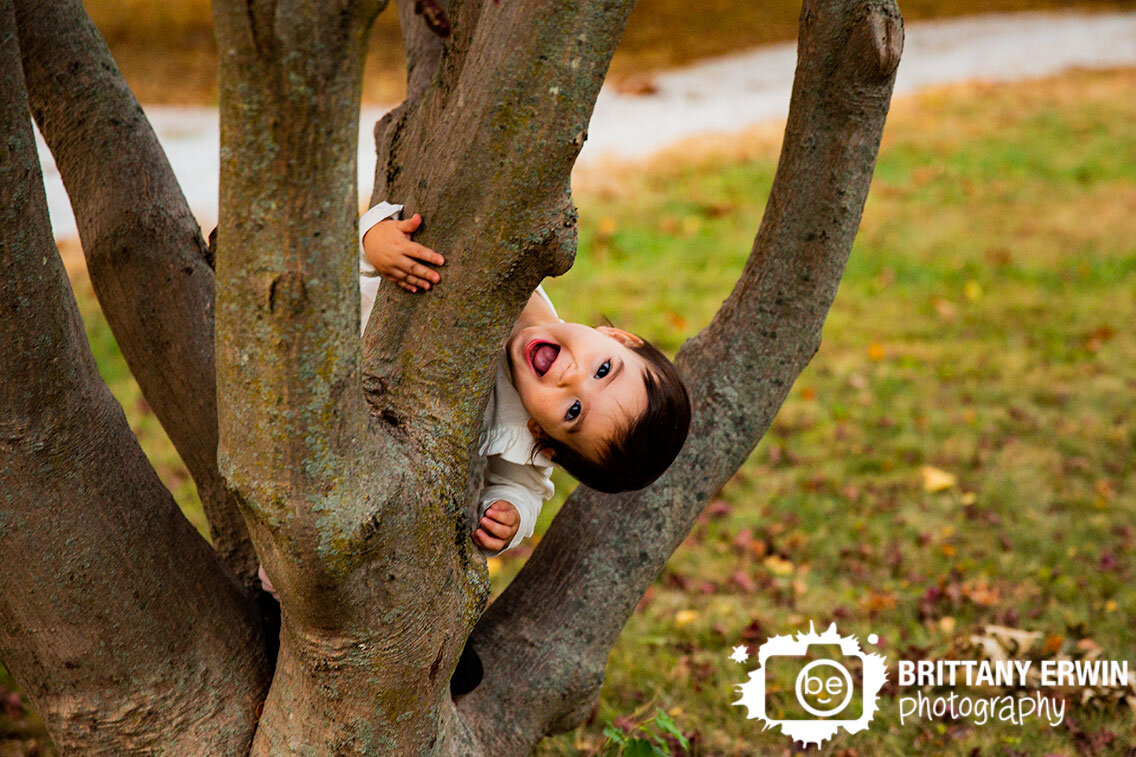 silly-girl-climbing-playing-in-tree-fall-portrait-photographer.jpg