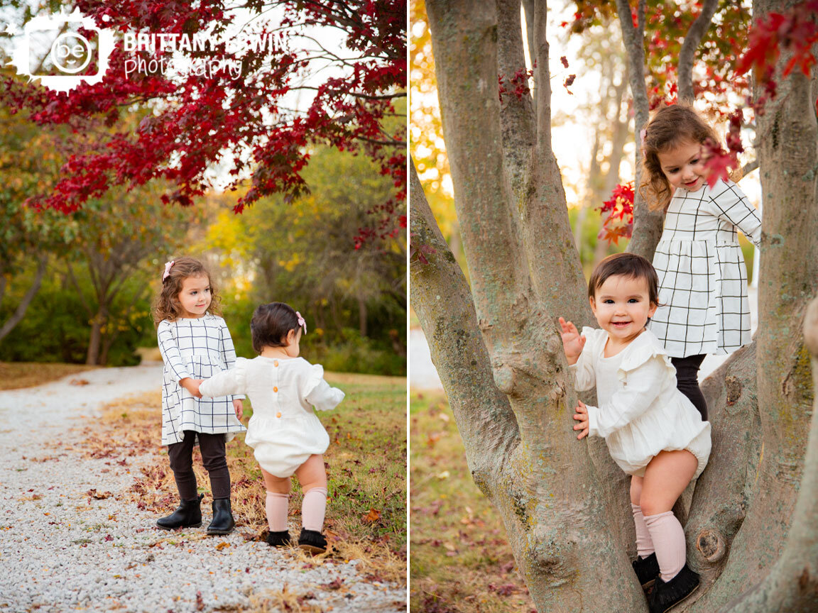 siblings-sisters-play-in-tree-walking-on-path-fall-photographer.jpg