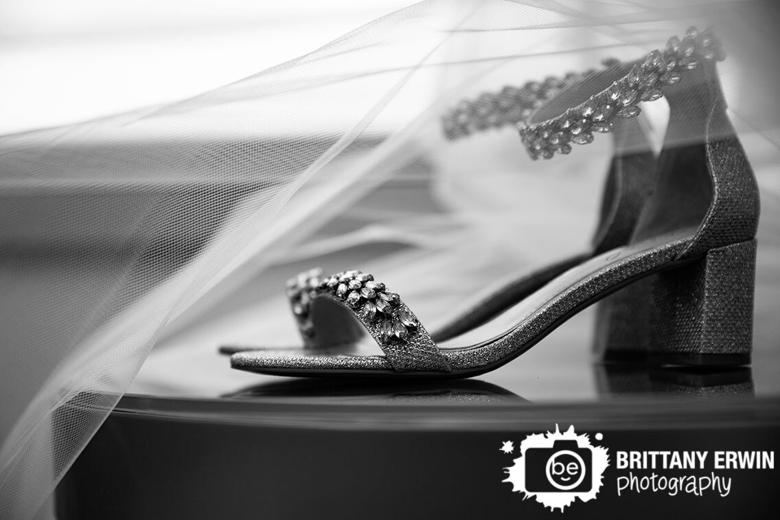 Indianapolis-wedding-photographer-details-veil-over-badgley-michka-shoes.jpg