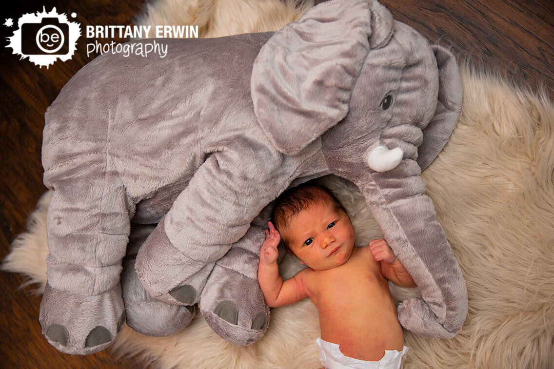 Indianapolis-in-home-lifestyle-newborn-portrait-photographer-baby-boy-with-elephant.jpg