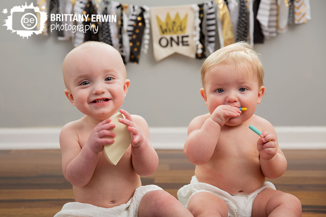 wild-one-banner-first-birthday-twin-boys-photographer.jpg