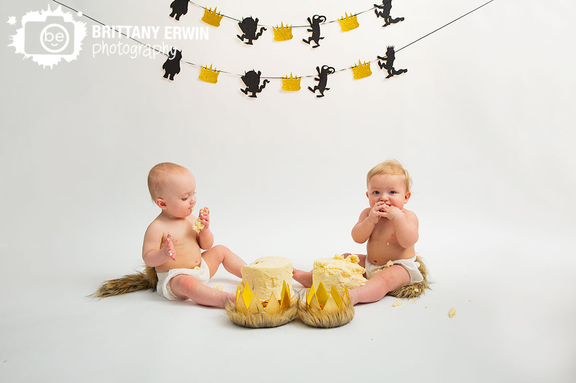 Indianapolis-twin-boys-cake-smash-photographer-crown-king-of-where-the-wild-things-are.jpg