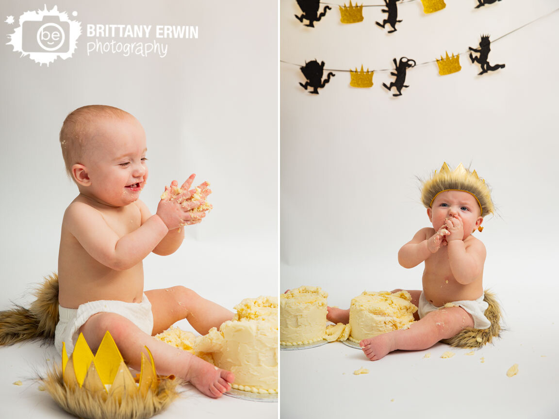 Cake-smash-first-birthday-twin-boys-where-the-wild-things-are-crown-fur-tail.jpg