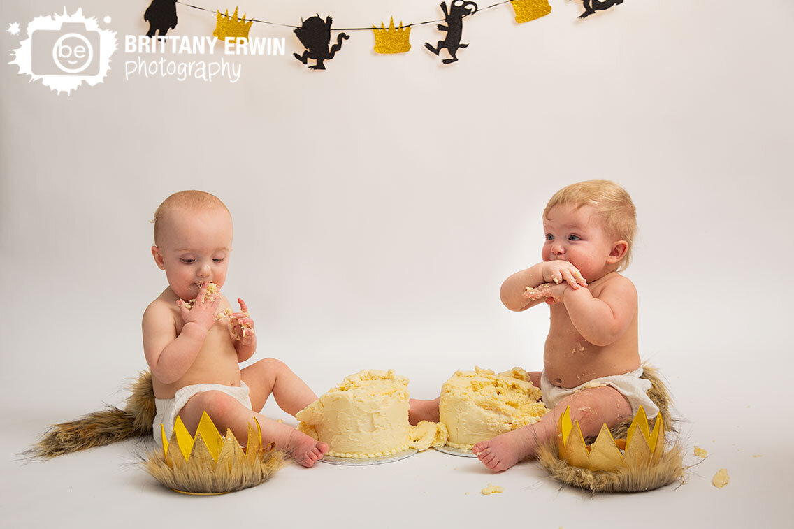 seamless-backdrop-cake-smash-first-birthday-where-the-wild-things-are-wild-ones.jpg