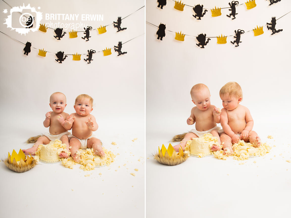 Where-the-wild-things-are-wild-ones-twin-first-birthday-cake-smash.jpg