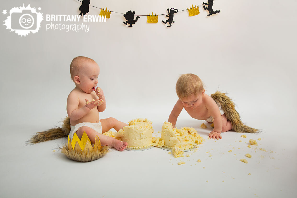 Indianapolis-baby-boy-twin-cake-smash-first-birthday-photographer.jpg