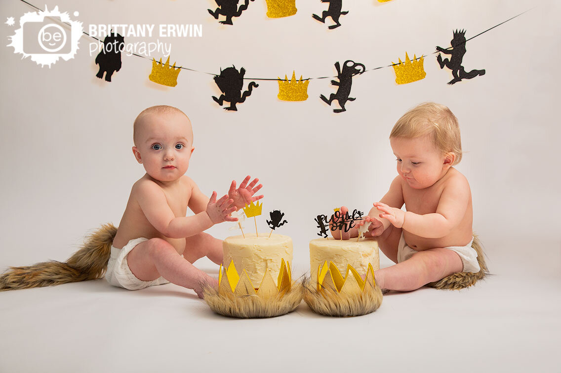 Indianapolis-cake-smash-first-birthday-portrait-photographer-twins-where-the-wild-things-are-one.jpg