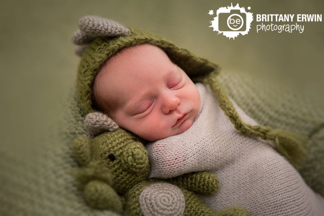 Indianapolis-in-home-newborn-portrait-photographer-baby-boy-dinosaur-hat-stuffed-animal-sleeping-swaddled.jpg