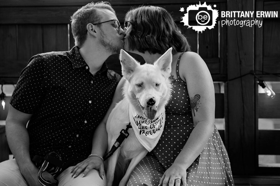 Indianapolis-engagement-portrait-photographer-couple-with-pet-dog.jpg
