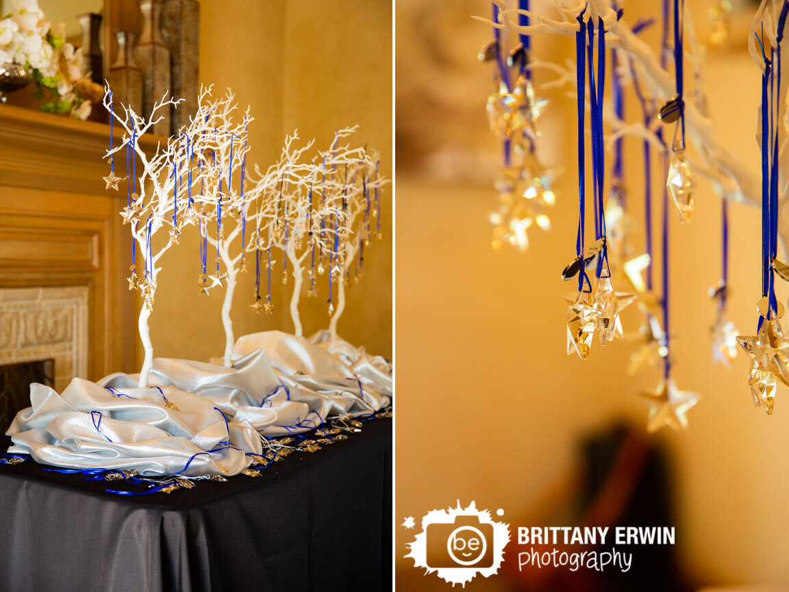 Indianapolis-wedding-photographer-stars-on-white-trees-space-themed-reception.jpg