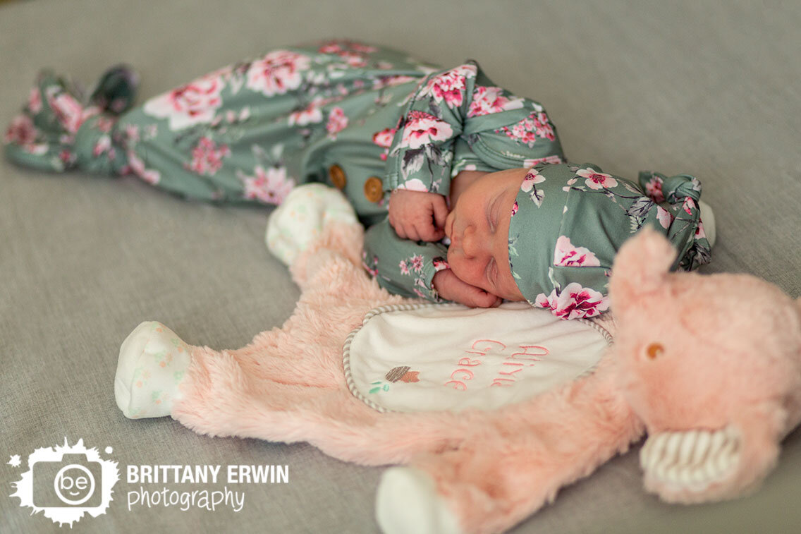Indianapolis-portrait-photographer-newborn-baby-girl-asleep-in-crib-with-soft-custom-embroidered-elephant.jpg