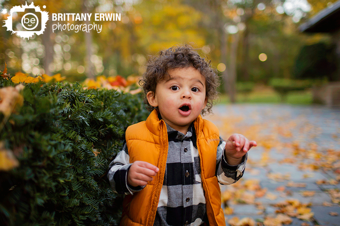 Indianapolis-portrait-photographer-milestone-boy-fall-outside-Holcomb-Garden.gif