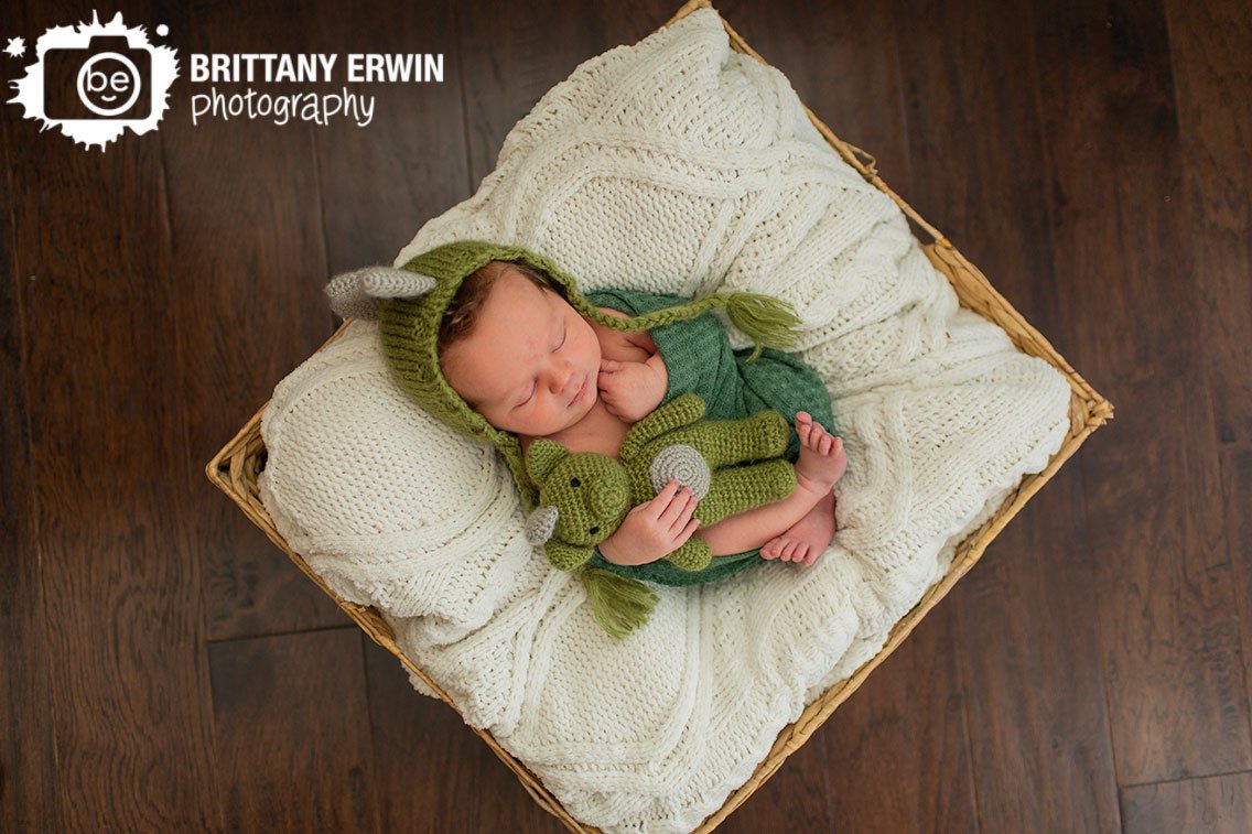 sleeping-boy-with-dinosaur-hat-and-stuffy-newborn-portrait.jpg