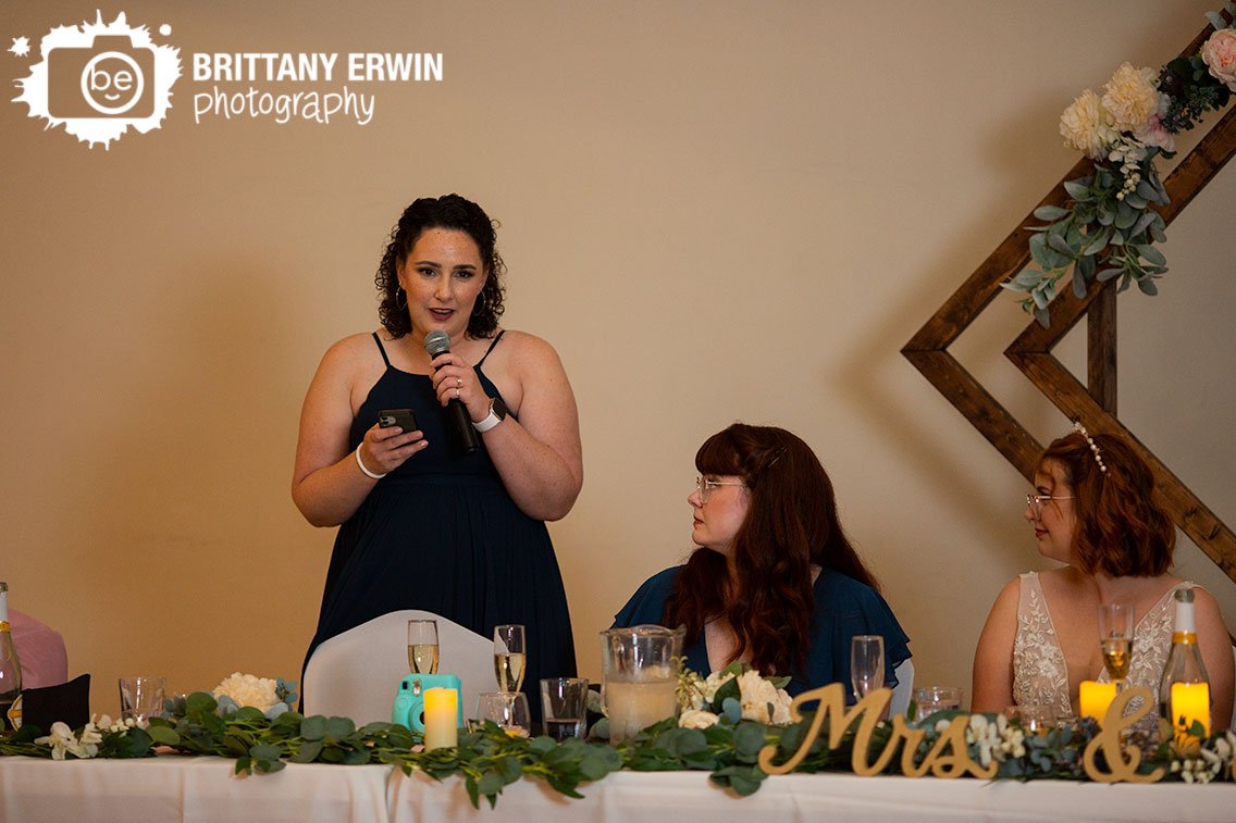 Indianapolis-wedding-photographer-toast-at-head-table.jpg