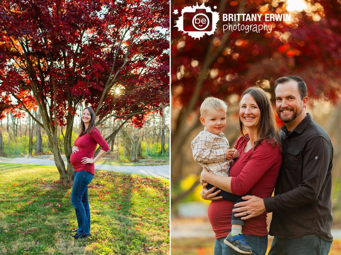 red-leaves-on-japanese-maple-tree-maternity-portrait-photographer-fall.jpg