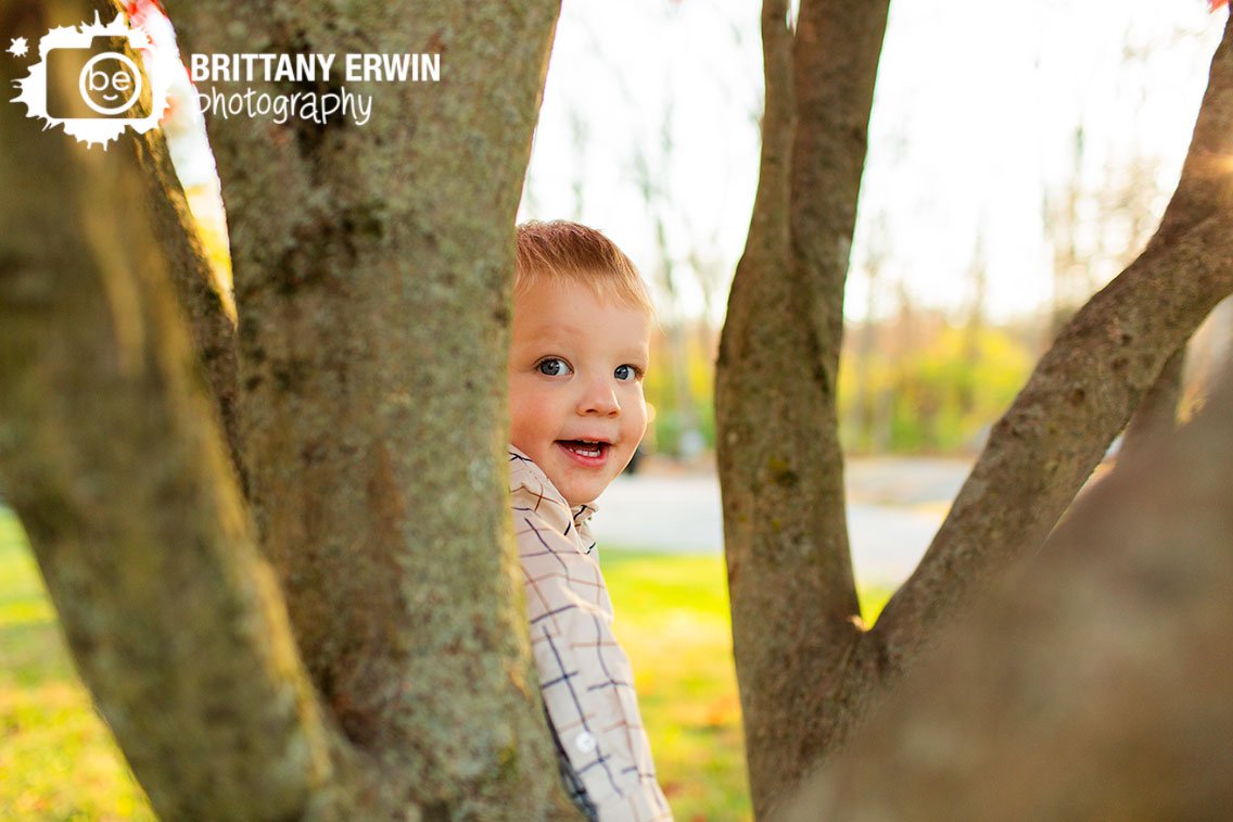 boy-climbing-tree-outdoor-fall-portrait-photographer.jpg