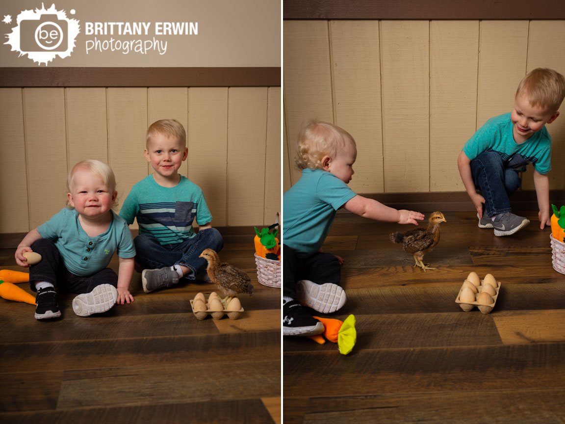 Indianapolis-spring-mini-session-photographer-brothers-with-baby-chicken-chick.jpg