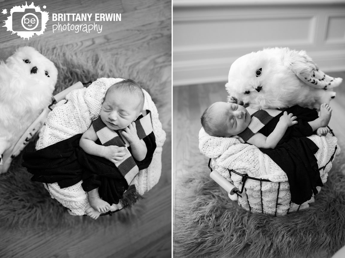 baby-boy-newborn-portrait-session-with-stuffed-hedwig-sleeping-boy.jpg