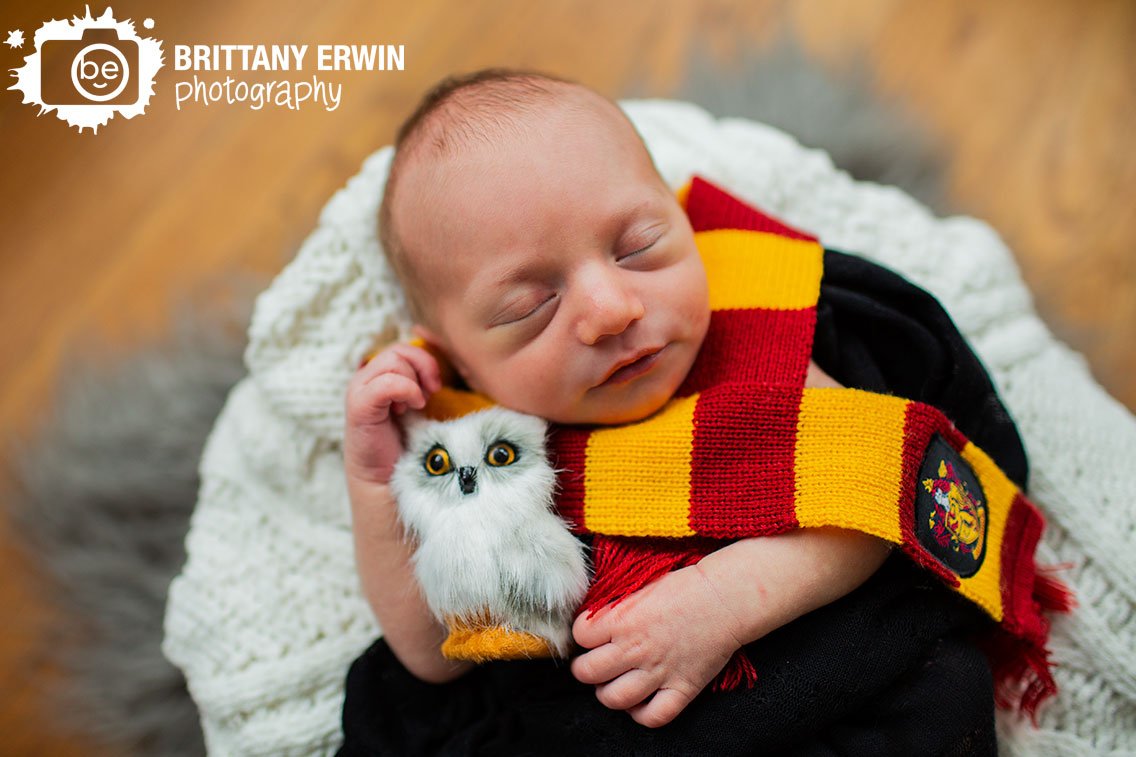 baby-boy-hogward-griffindor-striped-scarf-with-tiny-baby-hedwig-owl.jpg