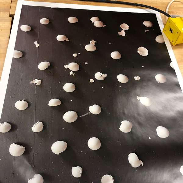 By creating an installation utilizing photography, video, and audio, Ana will have her audience walk on actual eggshells as they view her artwork to symbolize her experience trying to receive her visa.