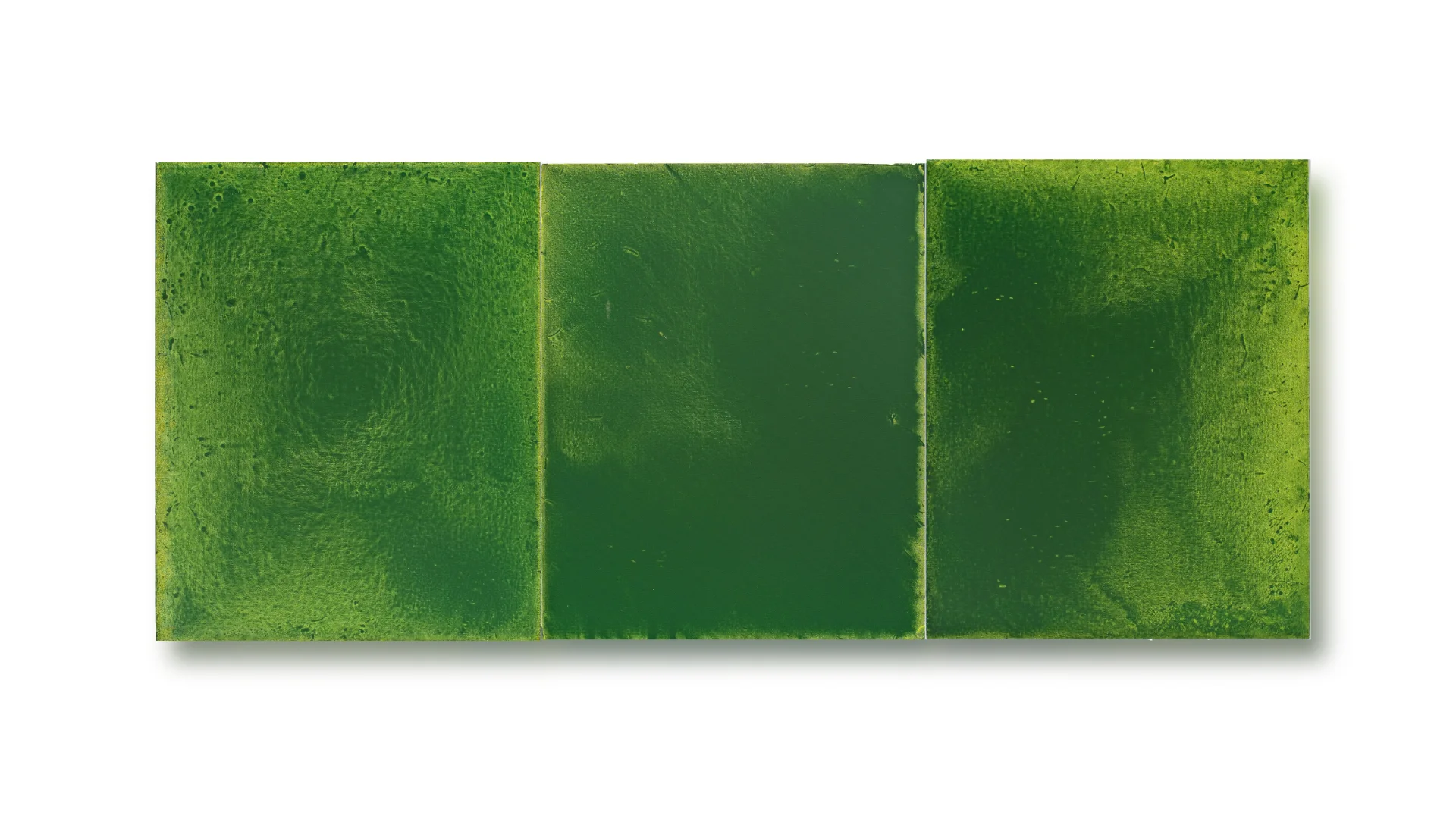 Greens 110304-6