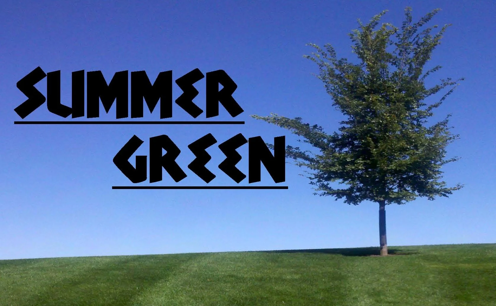 summer_green_logo_color.jpg