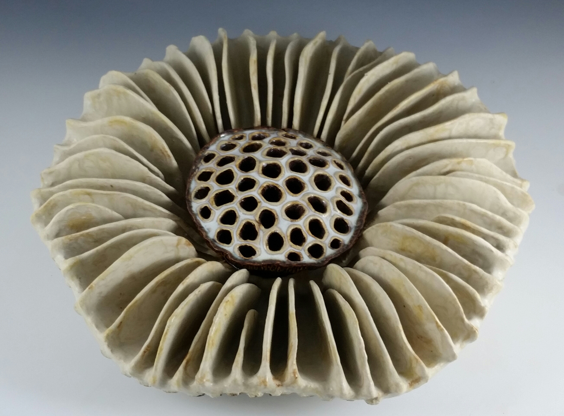 Lynnette Hesser Ceramic Mushroom.jpg