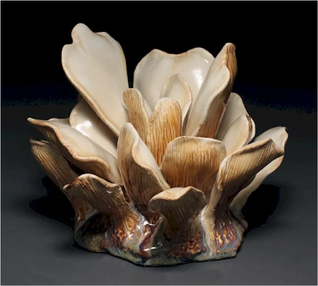 mushroom_grouping_small.jpg