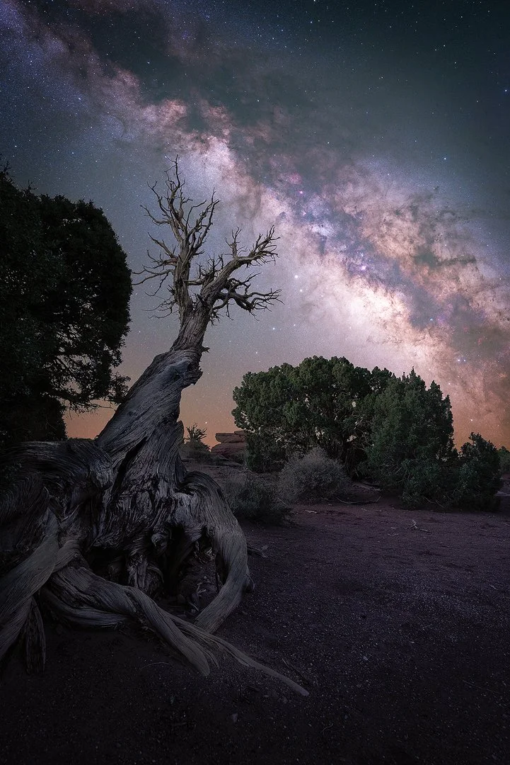 Canyonlands MW Dead Tree Carpark Quick Edit 2025.jpg