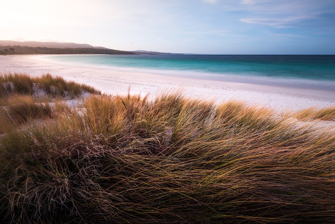Binalong Beach Grass.jpg