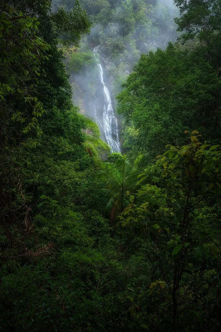 Kondalilla Falls.jpg