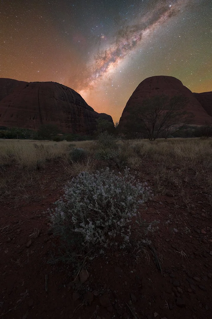 Walpa Gorge Milky Way.jpg
