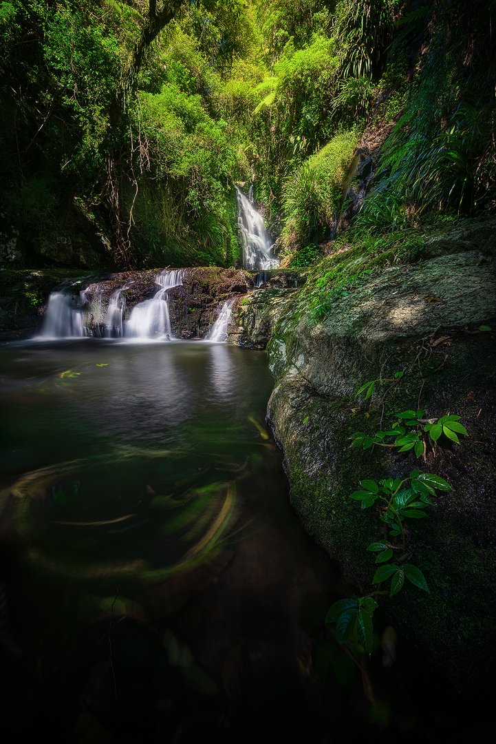 elabana-falls-waterfall-lamington-national-park-photography-queensland.jpg.jpg