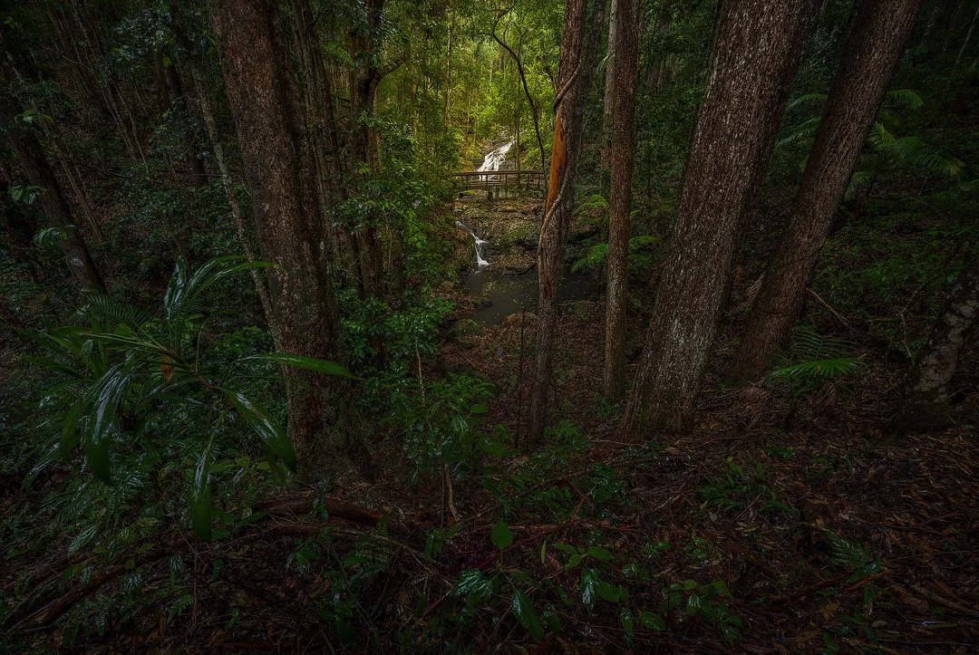 Kondalilla Falls Top.jpg