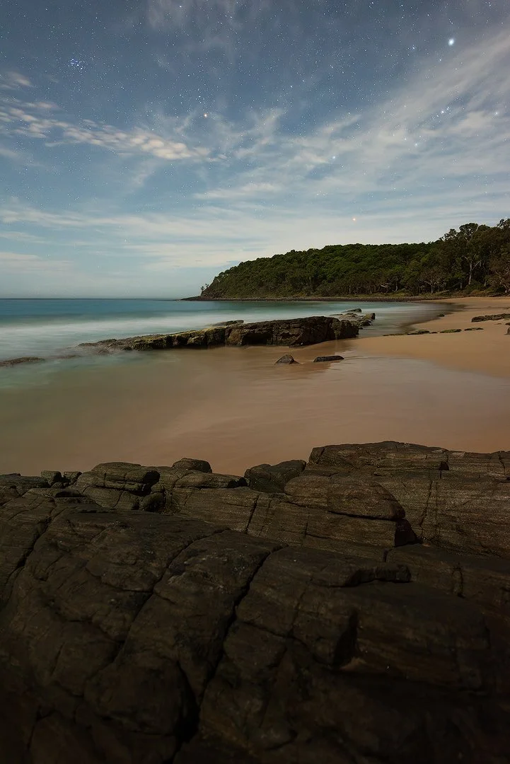 50% Moon Tea Tree Orion.jpg