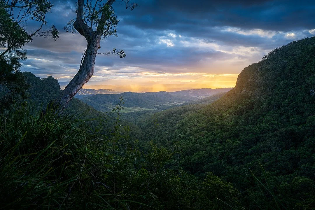 Moran Falls Lookout Lamington National Park.jpg