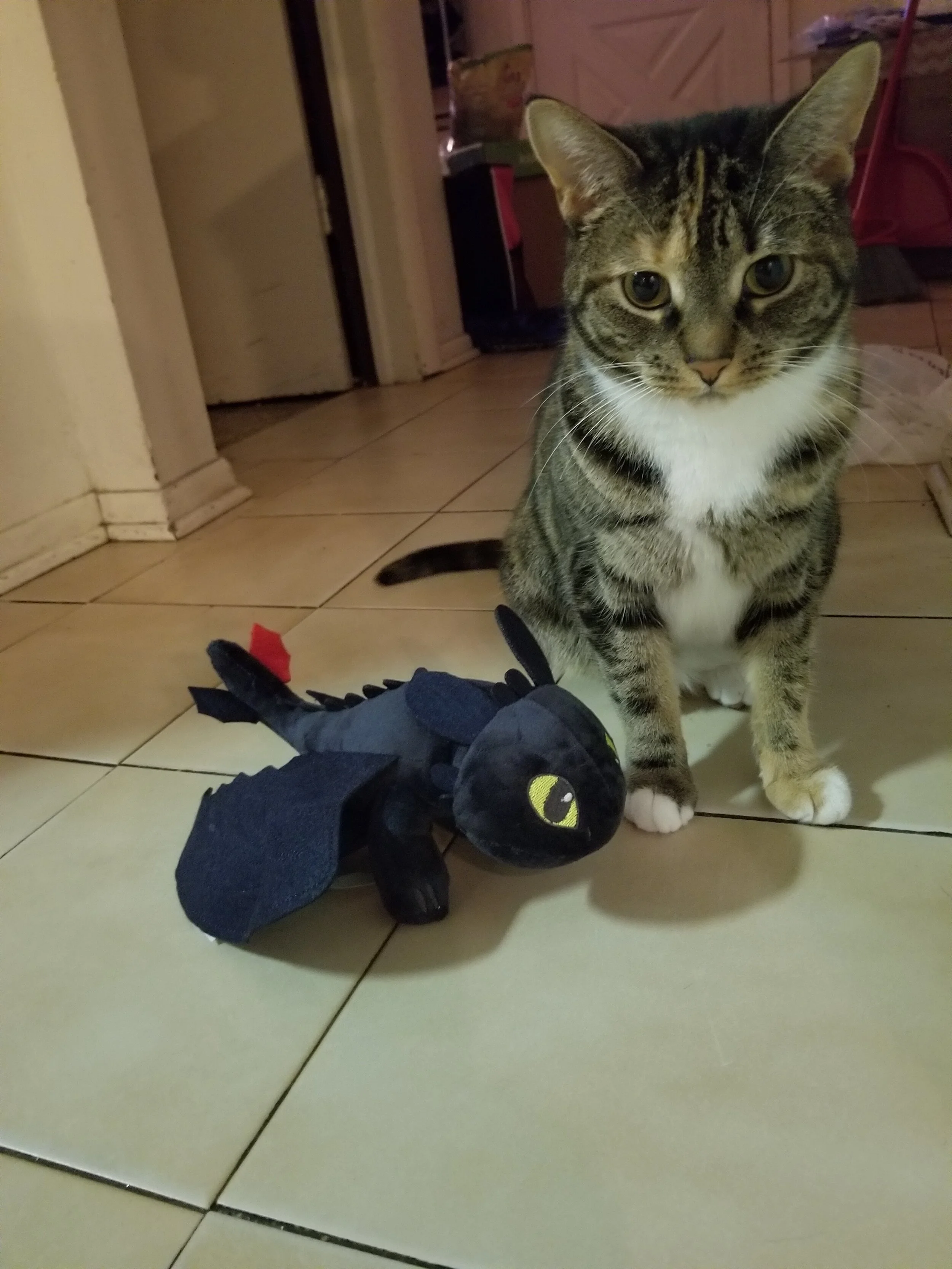 First 5 Pages Personalized Editing