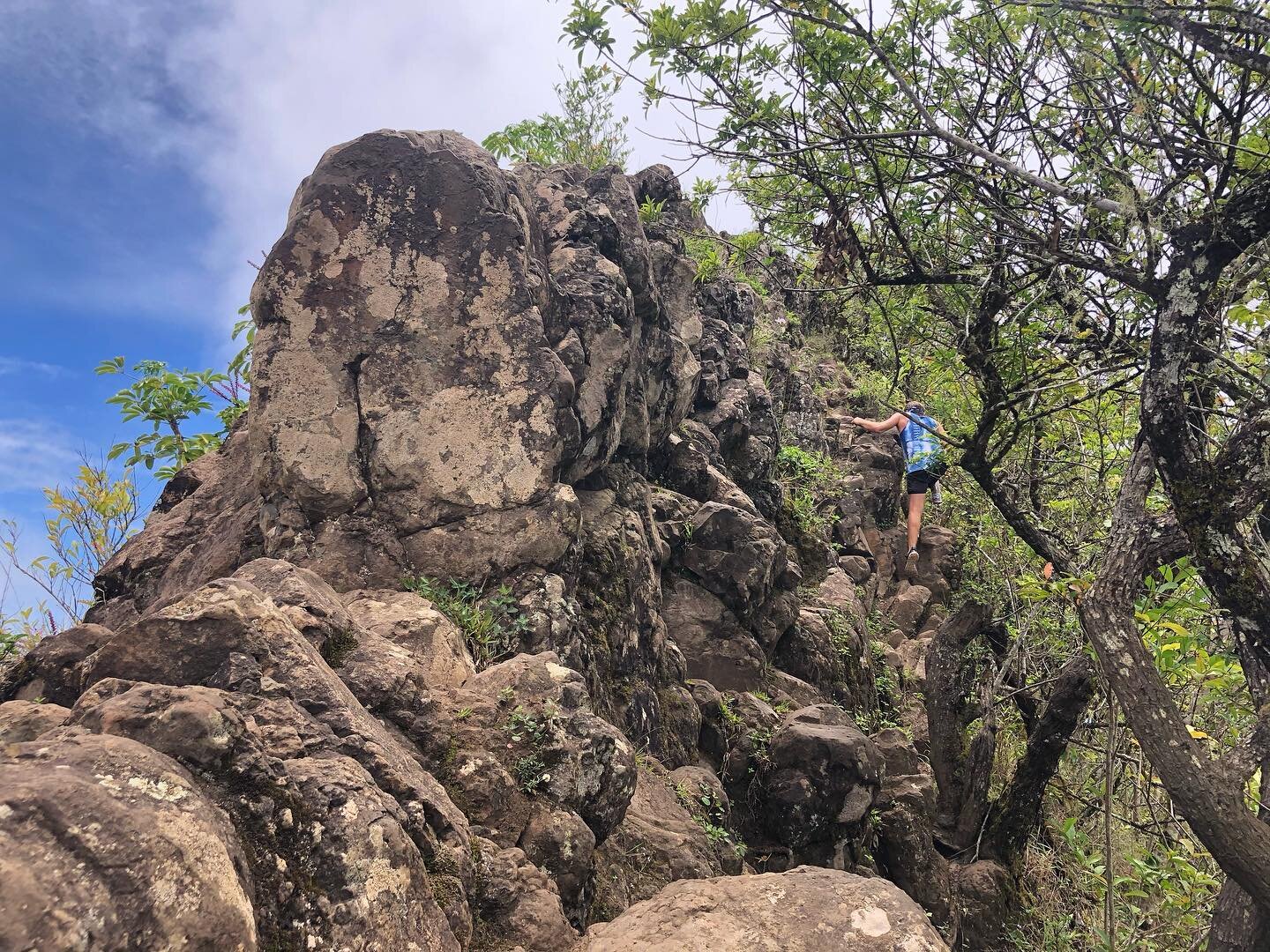 I spy @indigoarmour like a cloud climbing up to the sky. ⛅️💙

So grateful to have gotten a hike in before Hawaii&rsquo;s trails closed for COVID measures. Stay safe &amp; healthy everyone.