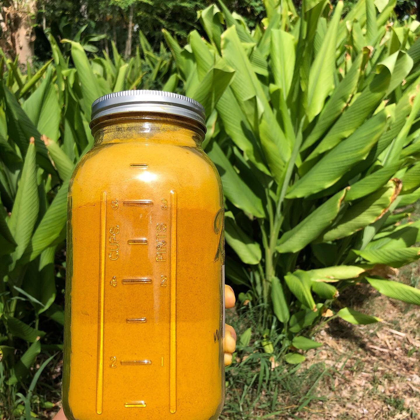 Sand art...or powerful anti-inflammatory and antioxidant turmeric grown and dried here, three ways, and powdered? ✨

Those green leaves behind are the turmeric plant, and it&rsquo;s roots are the medicine we harvest and use as a medicinal herb &amp; 