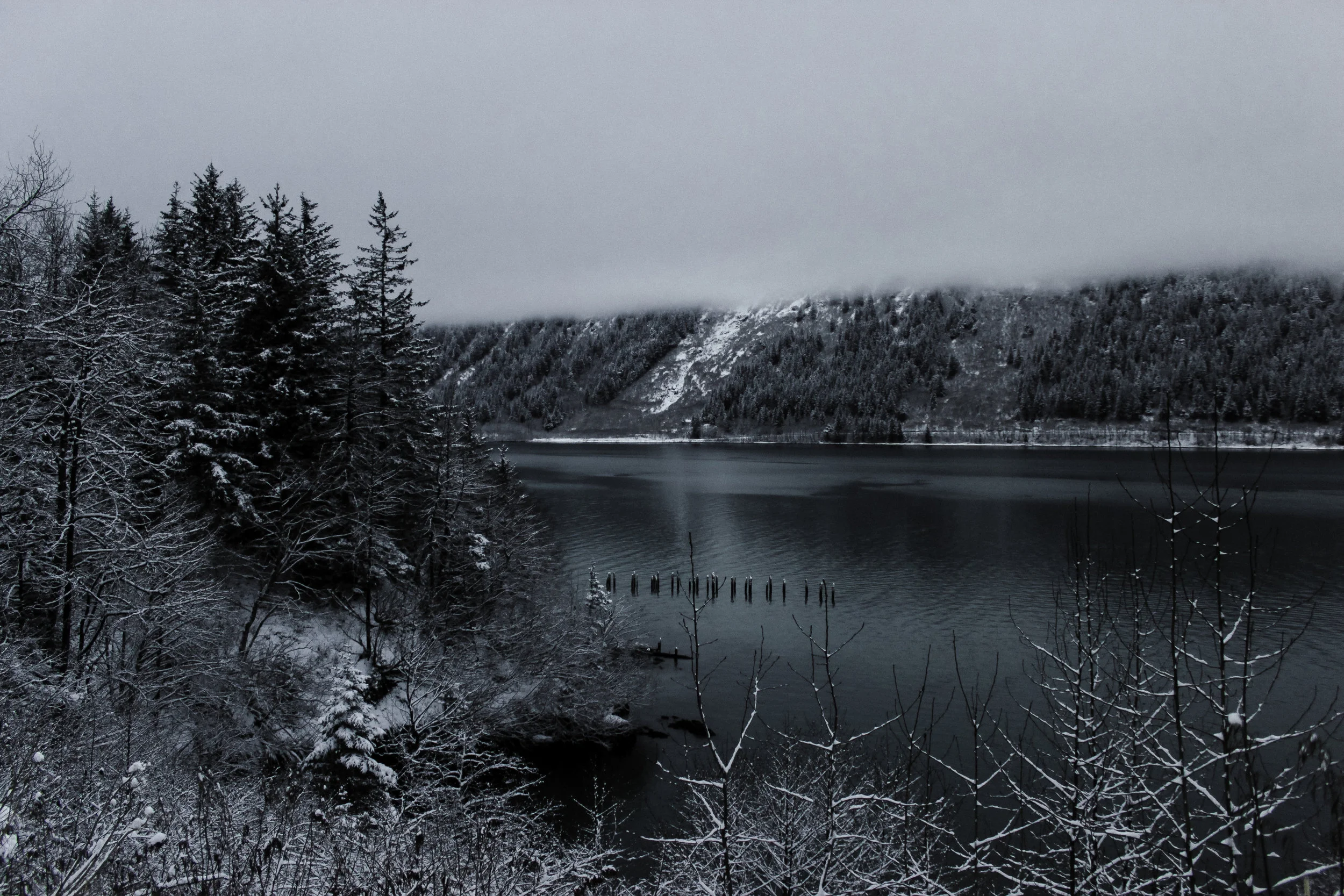 December 2015-11.jpg