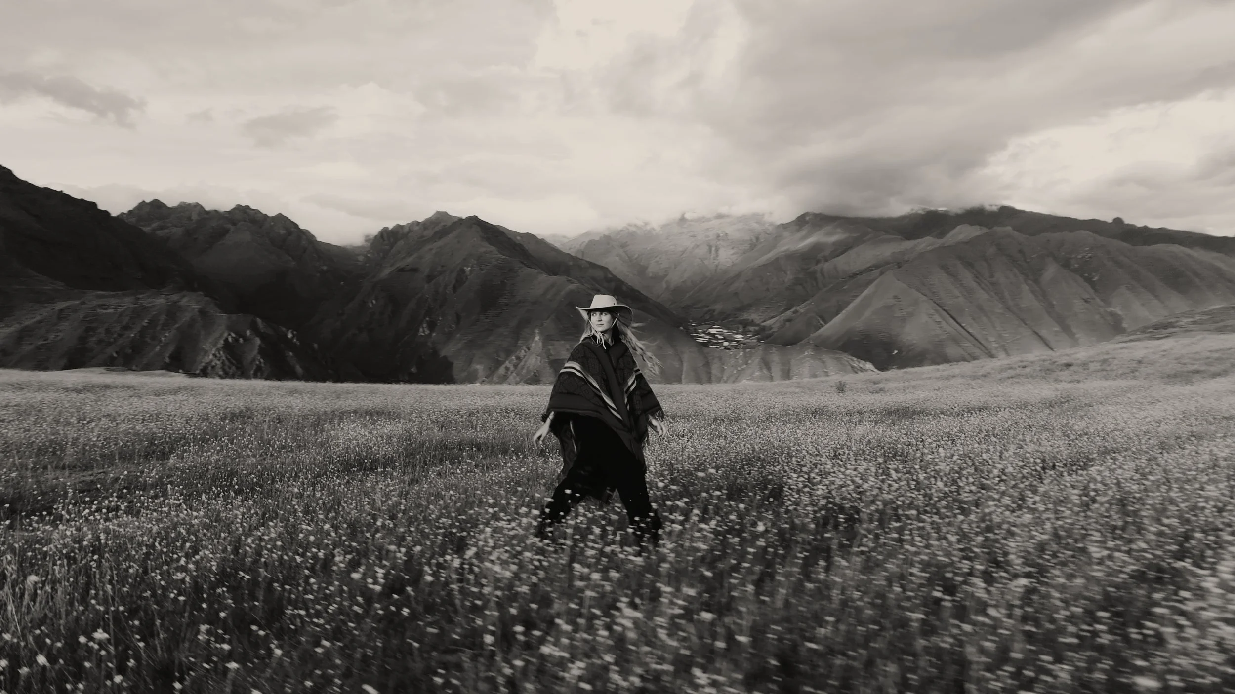 Sam Elkins LUTs - Flower Field - After - Yosemite HC.jpg