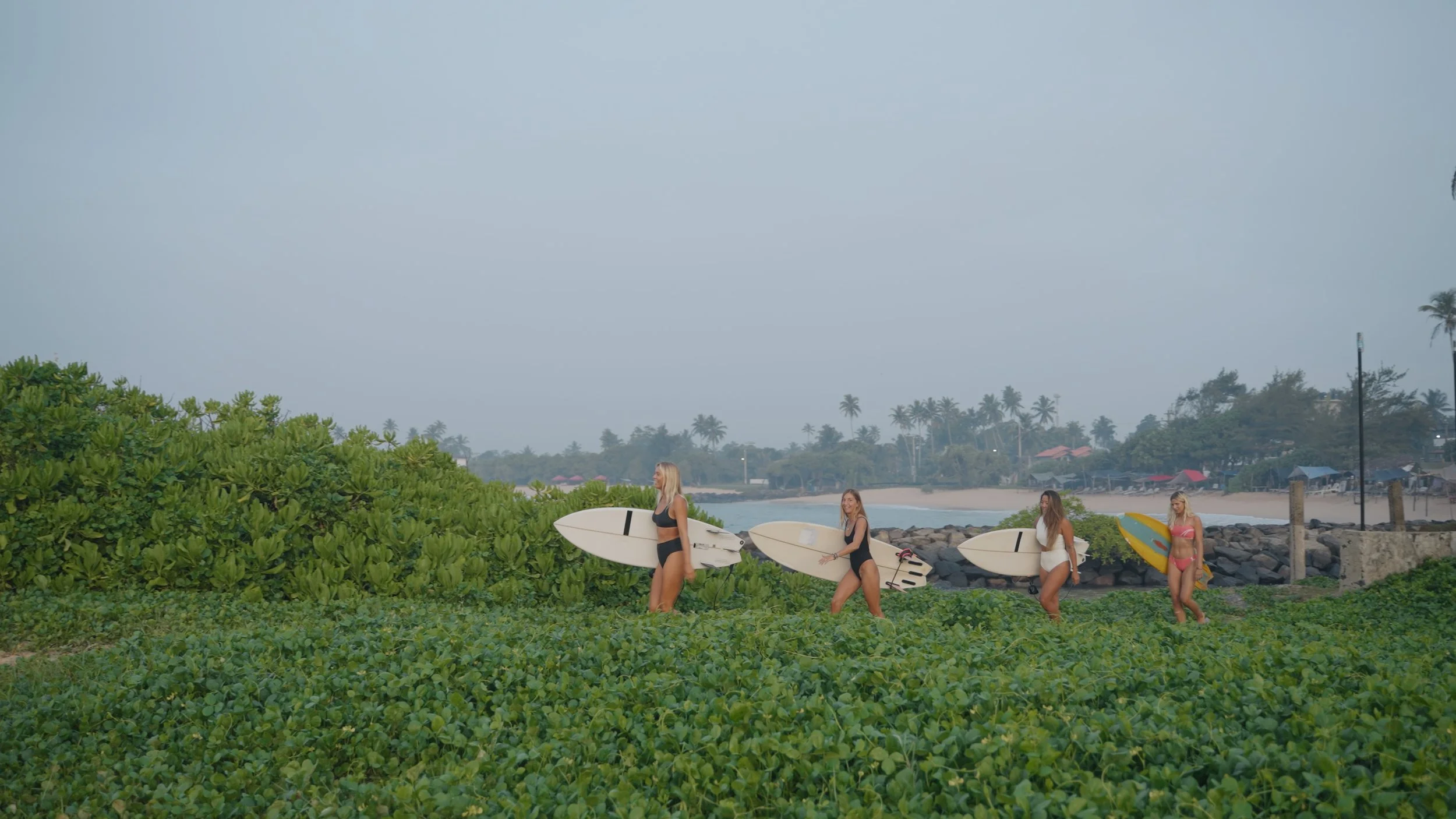 LUTCo S-Log3 PowerGrade - Surfers - Rec.709 - Harmony.jpg