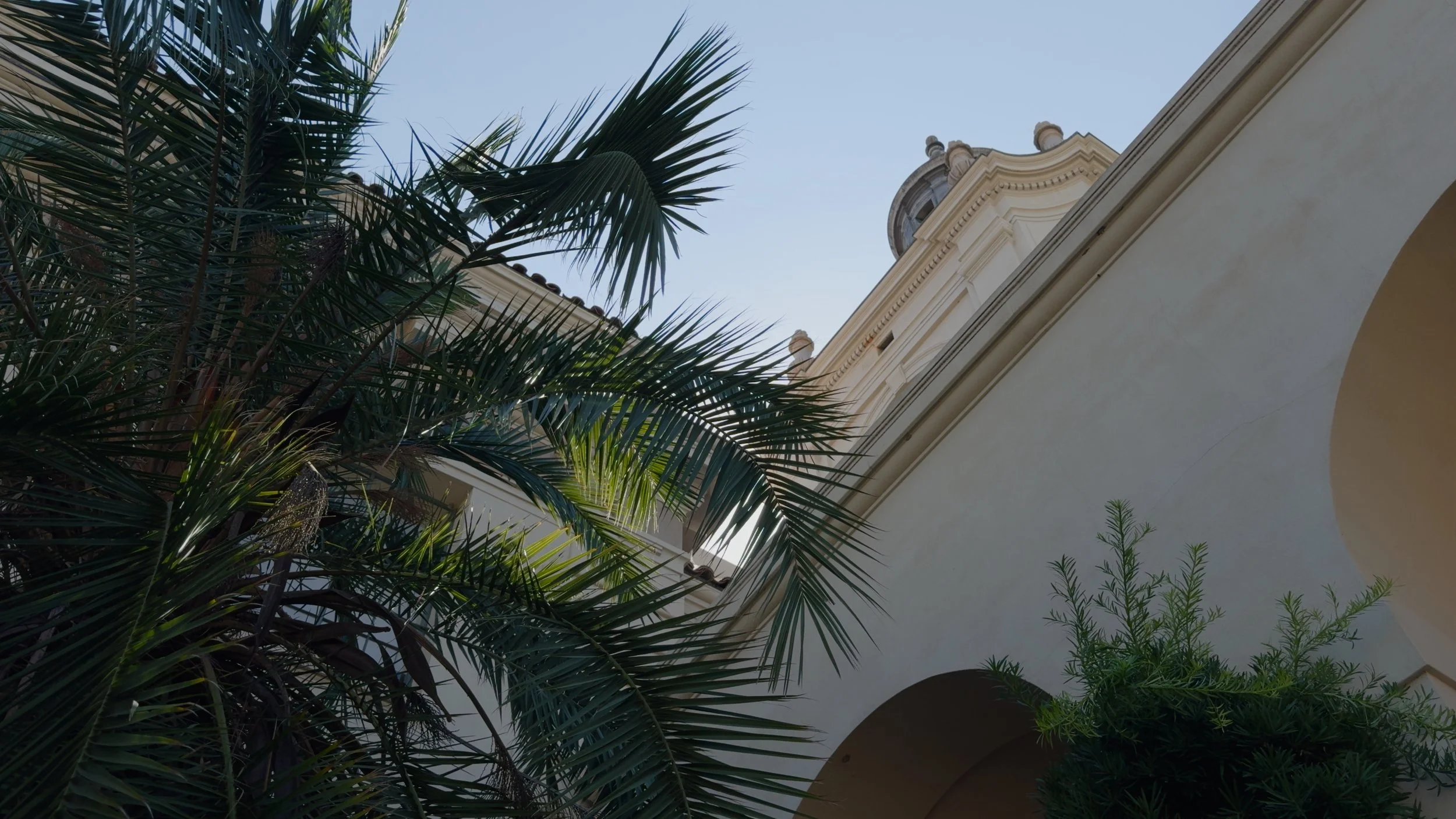 Apple Log to Rec.709 + Creative LUTs — LUT Co