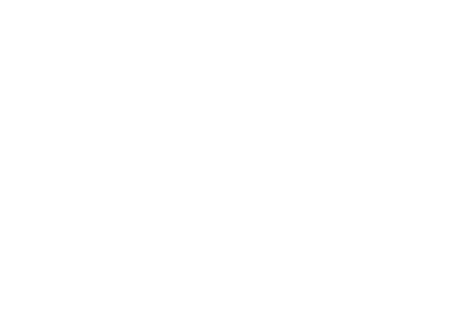 Laryssa Birdseye