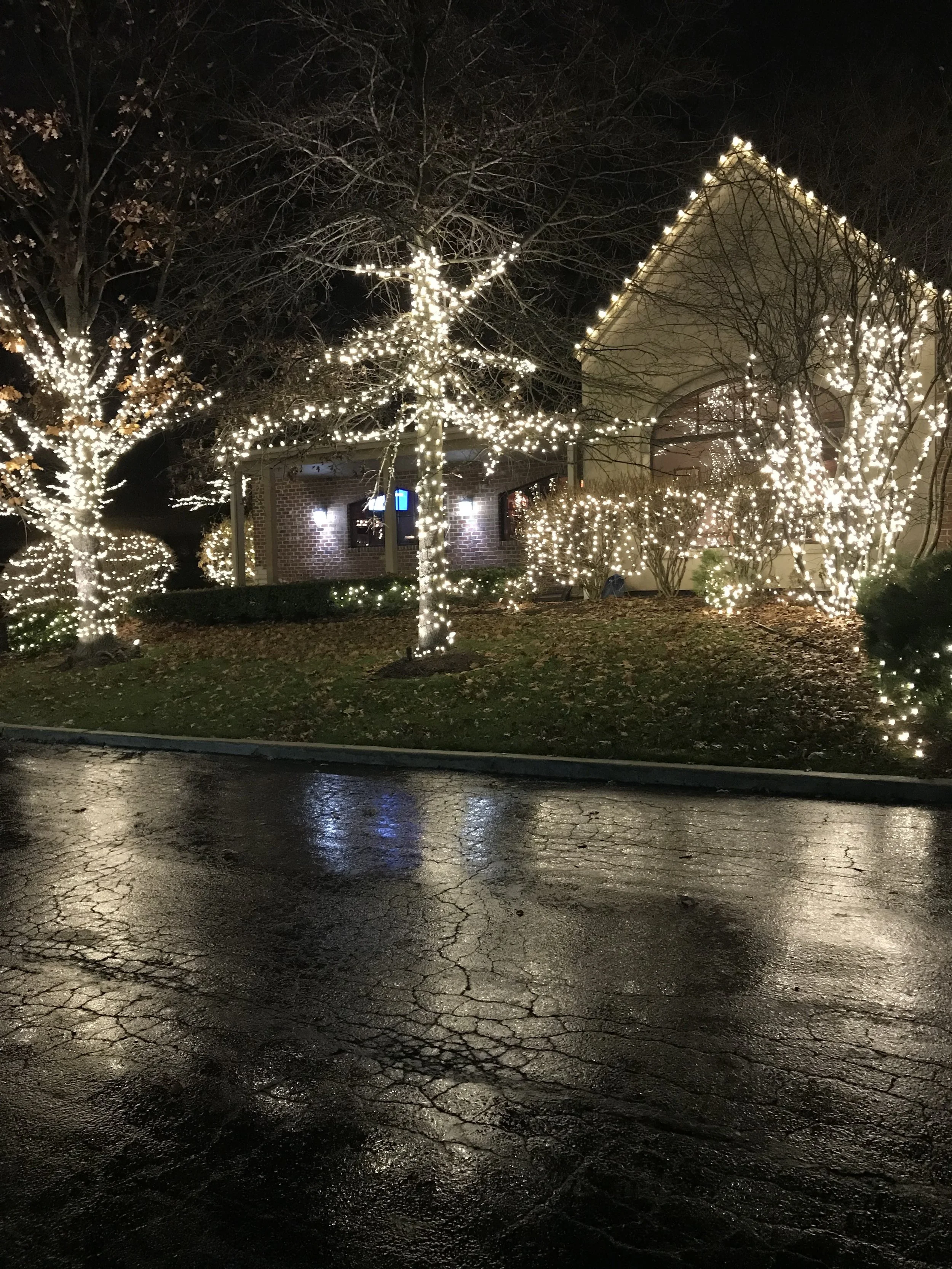 IMG_3814.jpeg