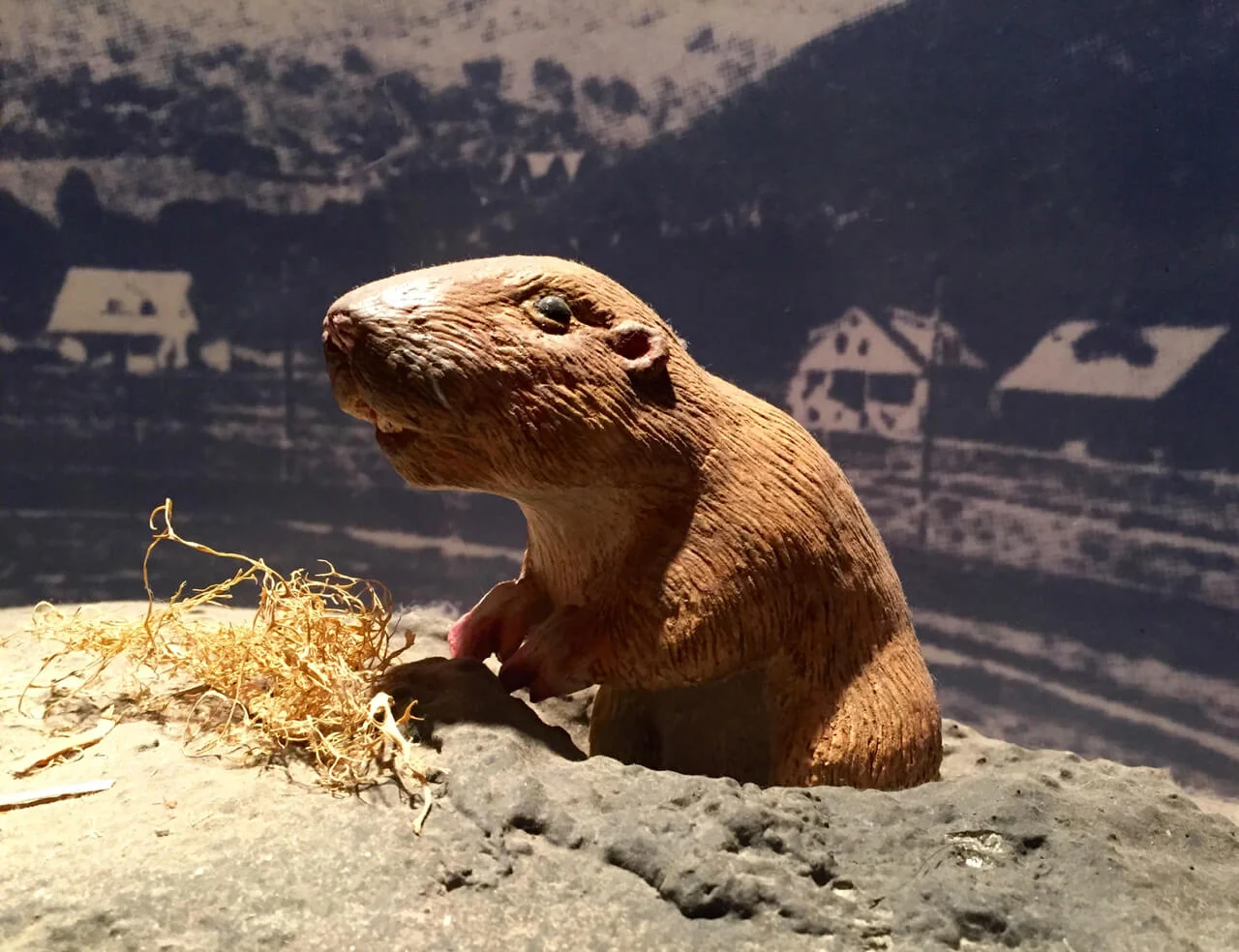 16-Los-Altos-History-Museum-The Sibbett Group-Gopherville.jpg