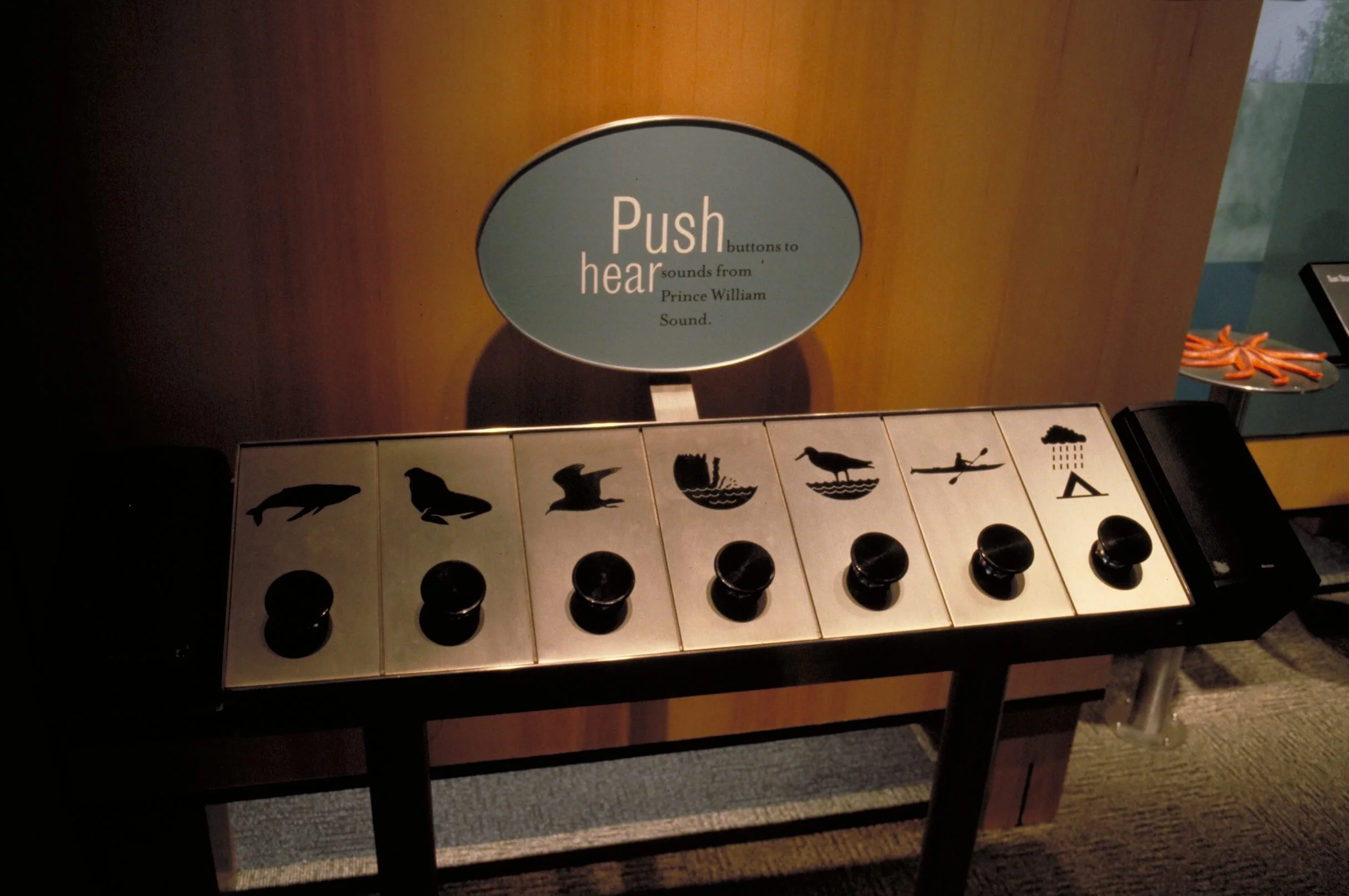 16-Begich Boggs Visitor Center-The Sibbett Group-Nature Pianos.jpg